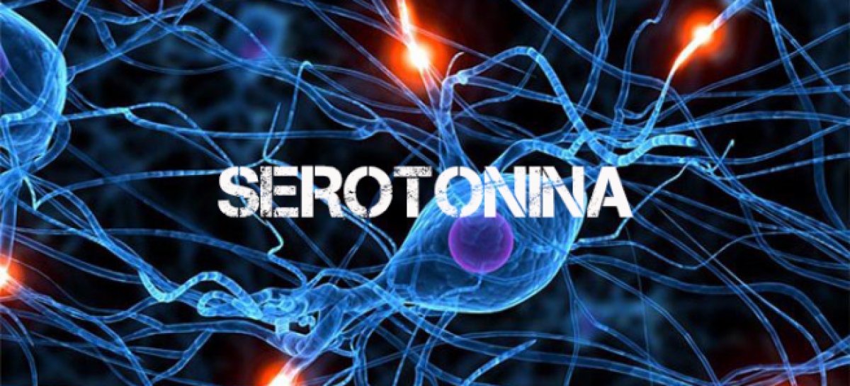 Como a alimentação pode afetar nossa produção de serotonina?